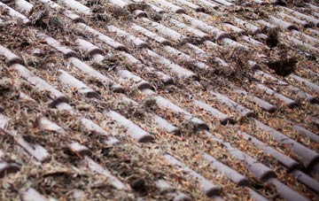 Radley roof cleaning companies