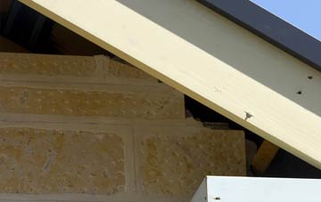 soffit repair Radley