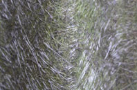 Radley fibreglass roof work